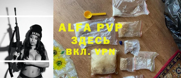 ешки Белокуриха